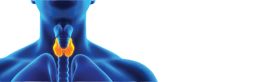 download__2_-removebg-preview