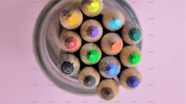 demo-attachment-207-pexels-miguel-a-padrinan-230514